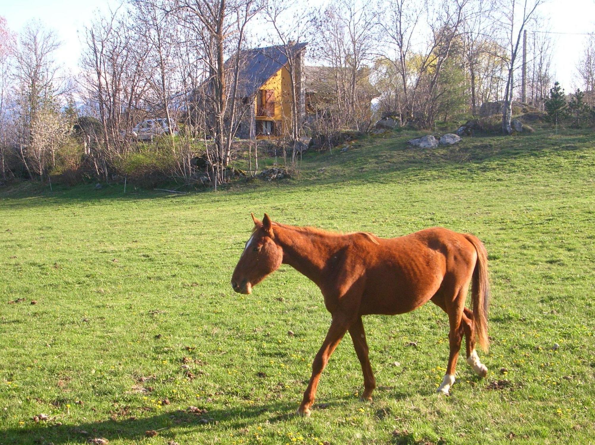 Bed and Breakfast El Balco De Dorres Esterno foto