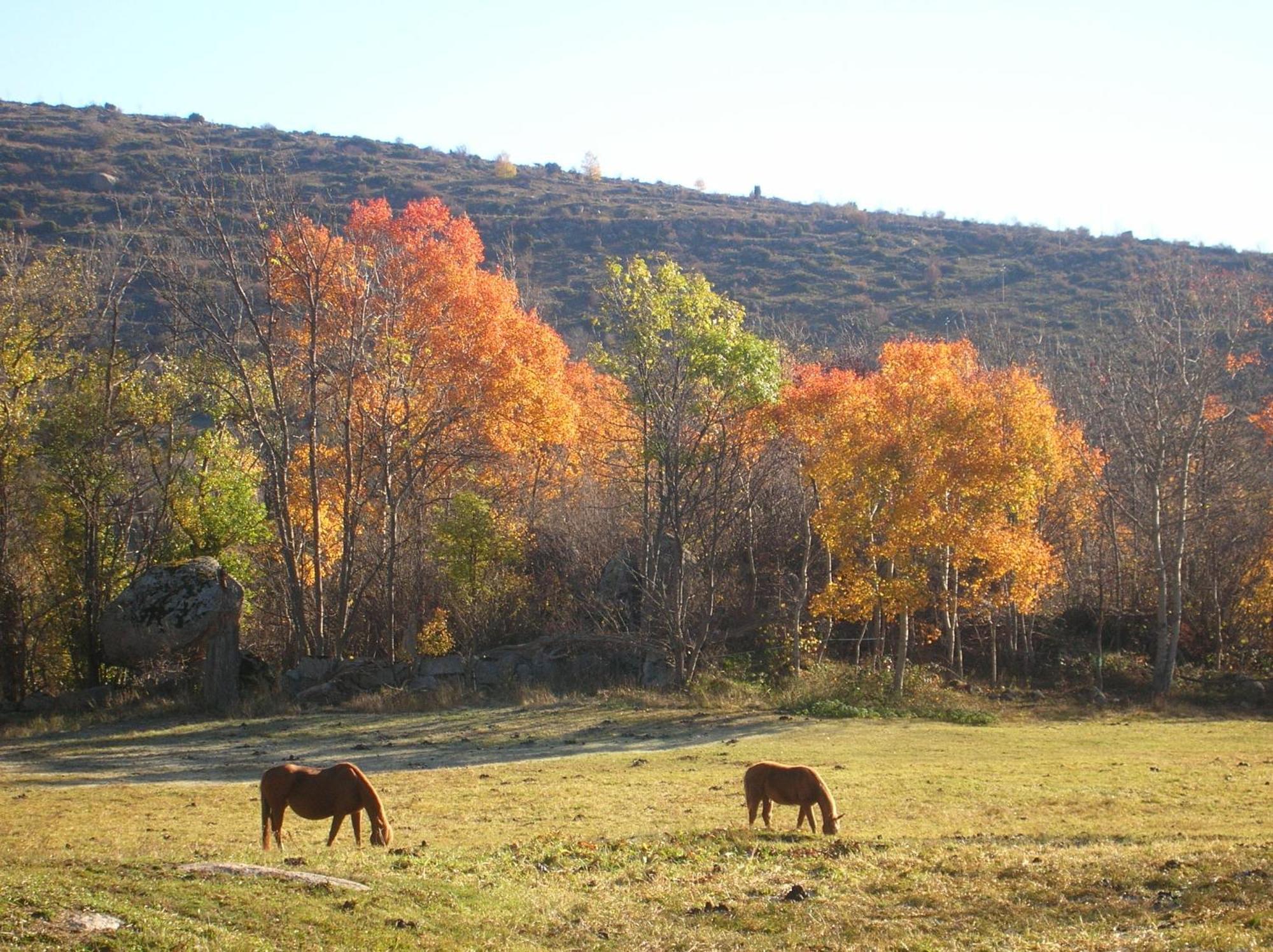 Bed and Breakfast El Balco De Dorres Esterno foto